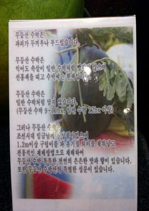 무등산 수박의 위엄.jpg