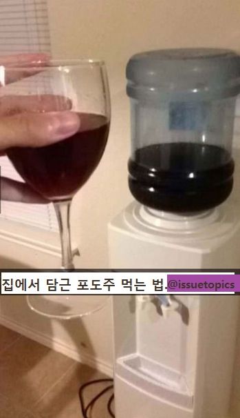 집에서 담근 포도주 시원하게 먹는 법.