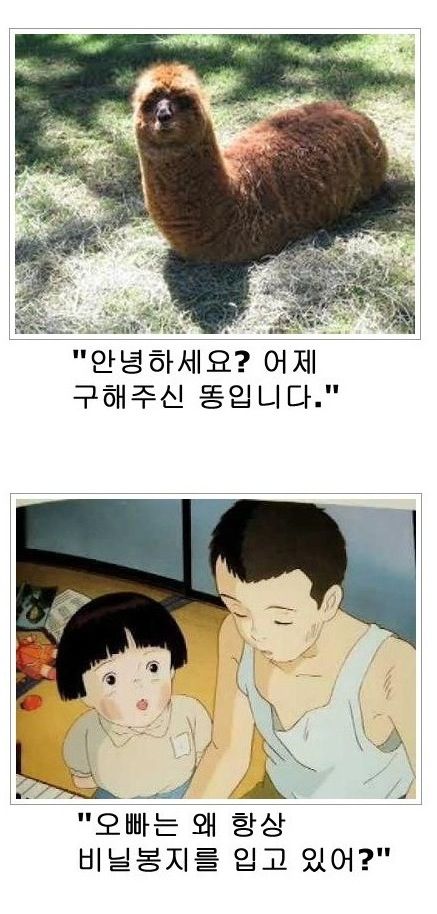 [스압]열도의 제목학원 우수작06