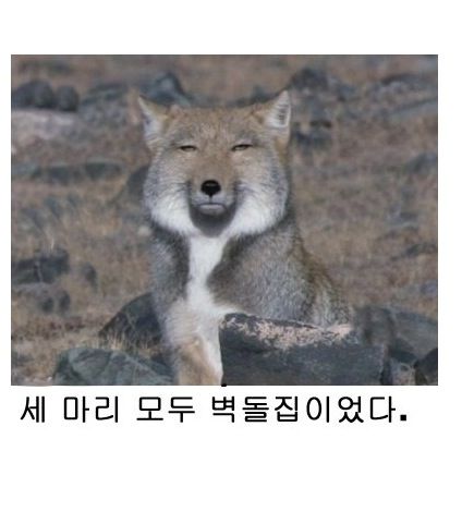 [스압]열도의 제목학원 우수작06