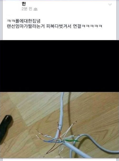 게임을 향한 집념.jpg