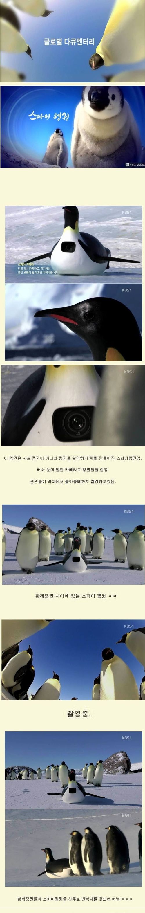 스파이펭귄01.jpg