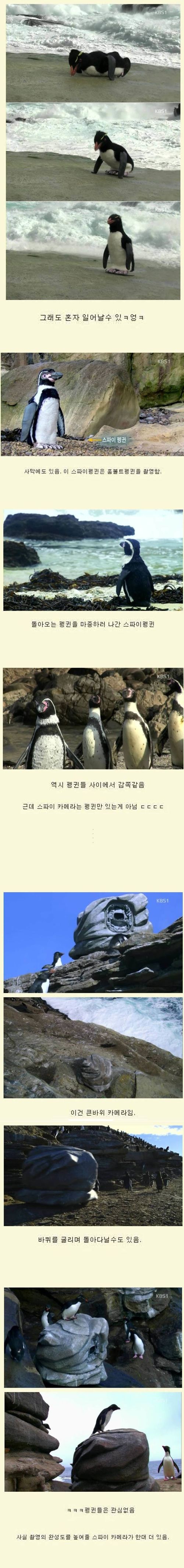 스파이펭귄01.jpg