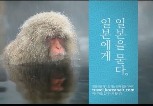 대항항공의 위엄.jpg