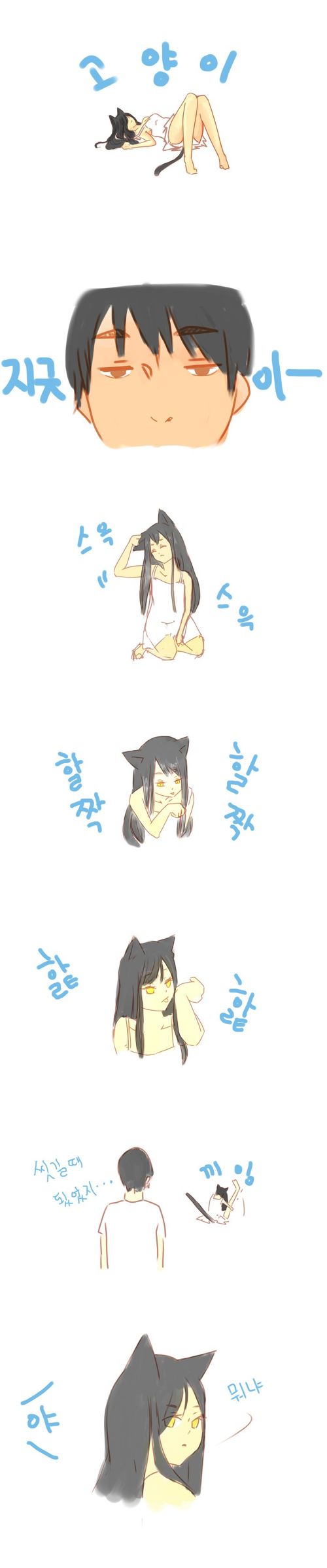 고양이 씻기는 만화.jpg