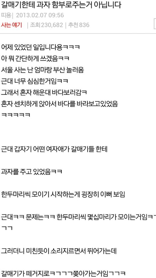 갈메기한테 과자를 함부로 주면 안되는 이유