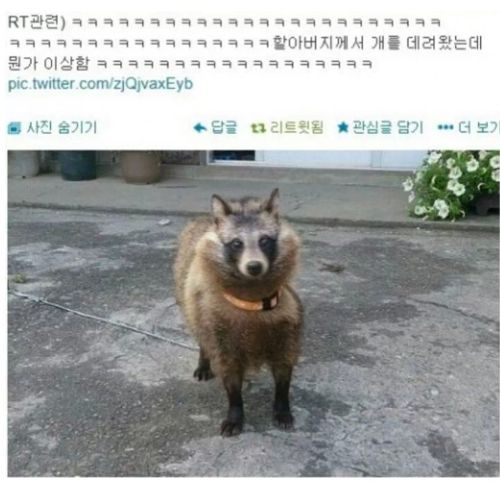 할아버지가 주워오신 개구리