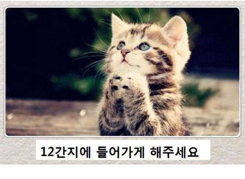 열도의 제목학원 우수작17