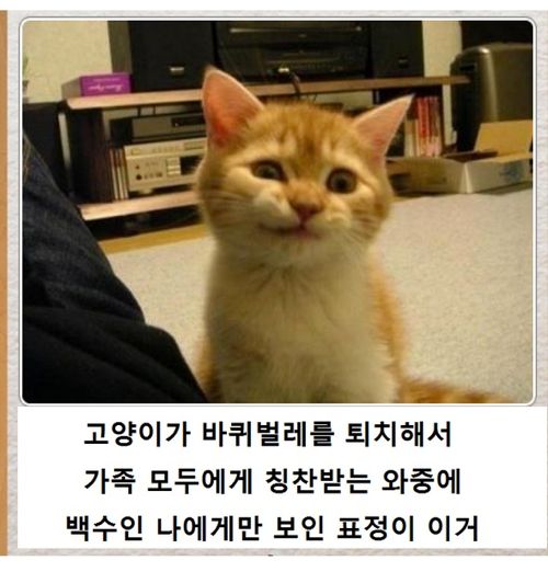 열도의 제목학원 우수작18