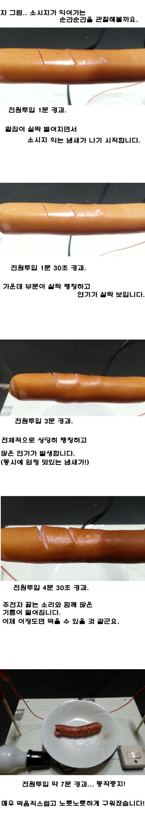 전기로 소시지 구워먹기.jpg