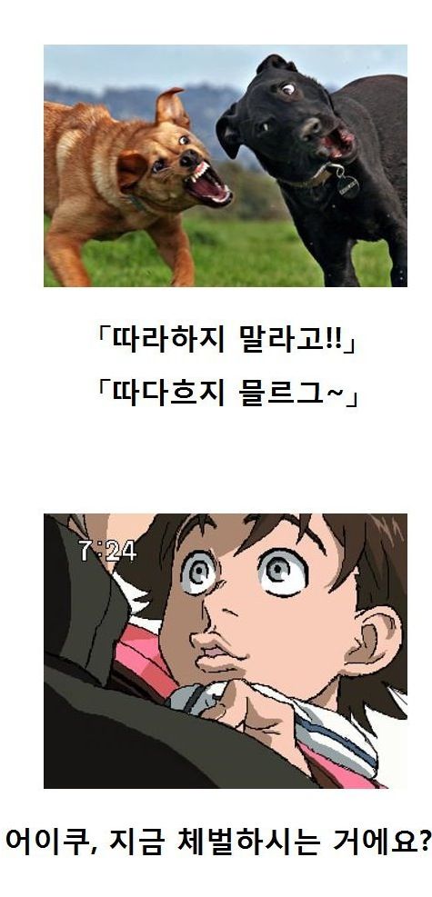 열도의 제목학원 우수작22