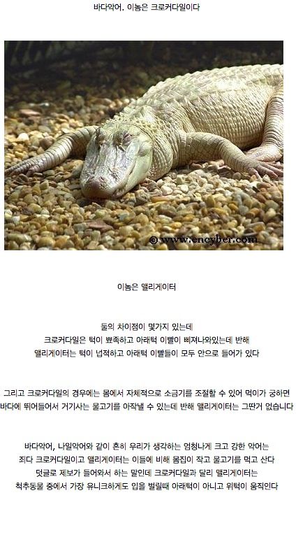 우리가 잘 몰랐던 여러가지 사실들