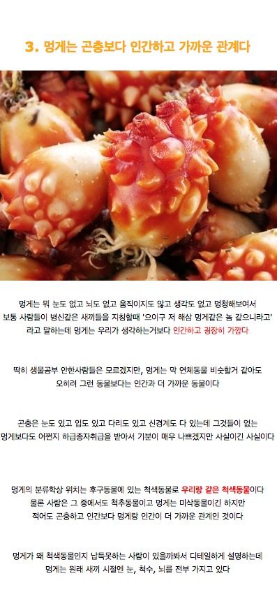 우리가 잘 몰랐던 여러가지 사실들