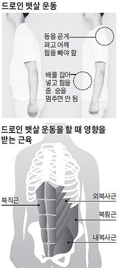 혁명적인 뱃살빼는법.jpg