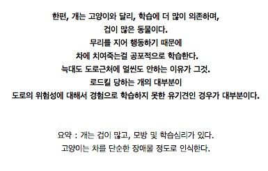 도로에서 고양이가 개보다 더 많이 죽는이유