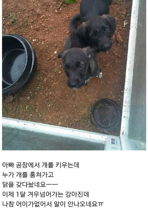 등가교환jpg