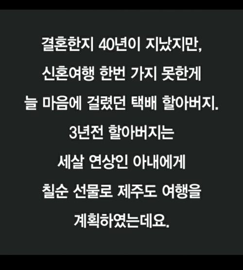 좋아요 1만개로 제주도여행간 할아버지 이야기