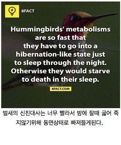 우리가 몰랐던 사실들.jpg