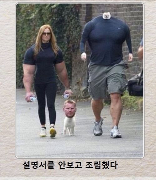 열도의 제목학원 우수작28