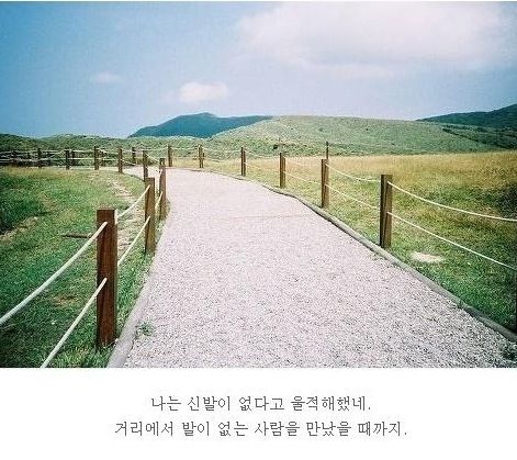 [스압]20대가 뽑은 힘이 되는 명언들