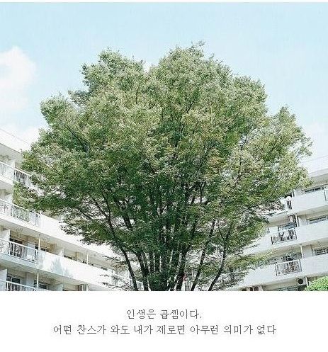 [스압]20대가 뽑은 힘이 되는 명언들