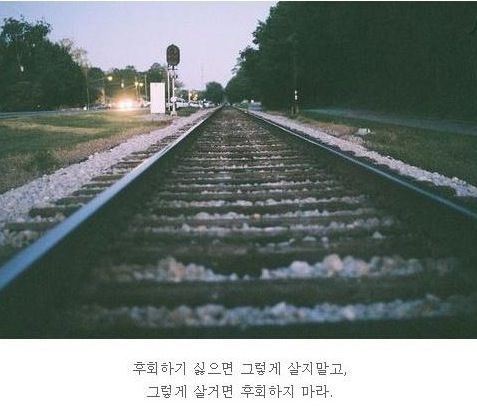 [스압]20대가 뽑은 힘이 되는 명언들