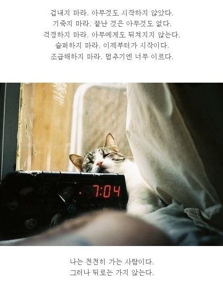 [스압]20대가 뽑은 힘이 되는 명언들