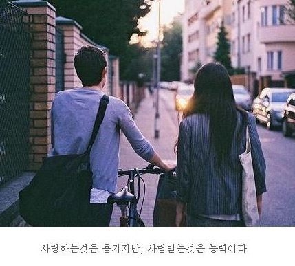 [스압]20대가 뽑은 힘이 되는 명언들