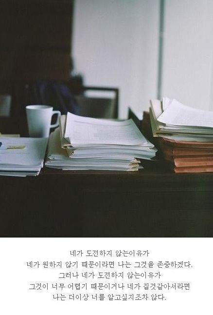 [스압]20대가 뽑은 힘이 되는 명언들