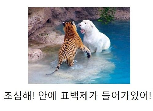 열도의 제목학원 우수작29