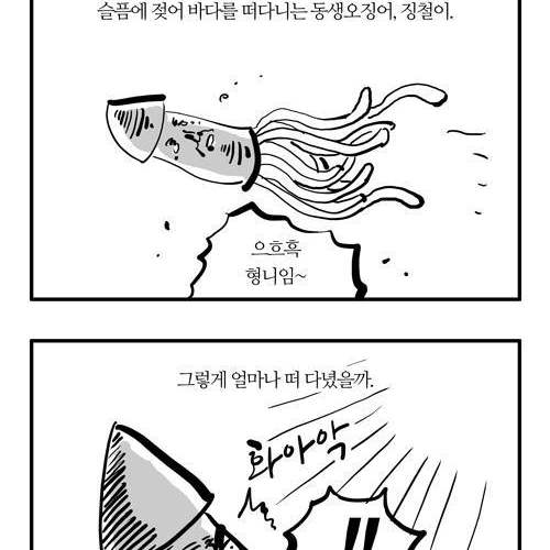 불쌍한 오징어.jpg