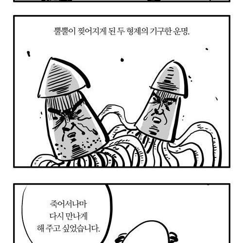 불쌍한 오징어.jpg