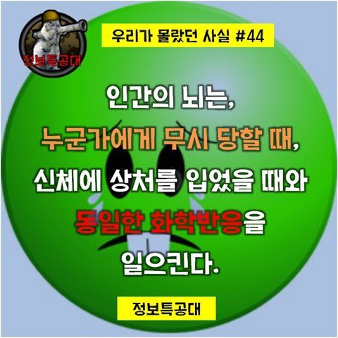 폭언이 폭력인 이유.jpg