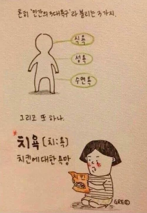 인간의 4대 욕구.jpg