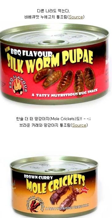 세계의 통조림.jpg