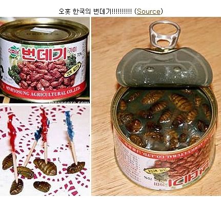 세계의 통조림.jpg