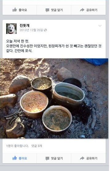 페이스북 하는 진돗개