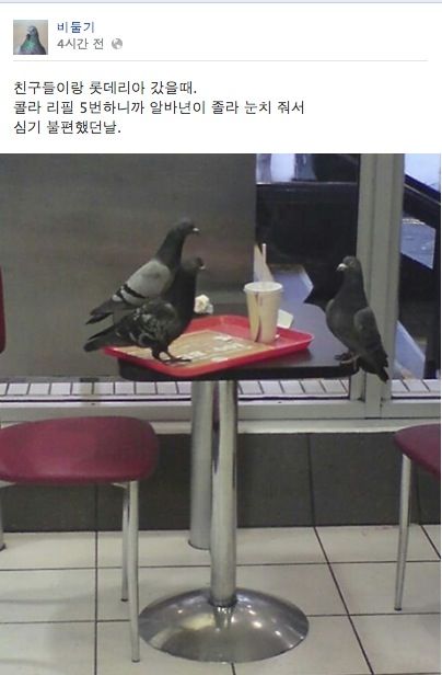 비둘기 페북.jpg