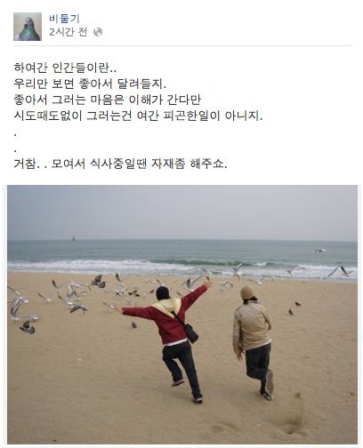 비둘기 페북.jpg