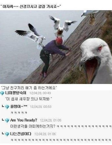 일진 갈매기.jpg