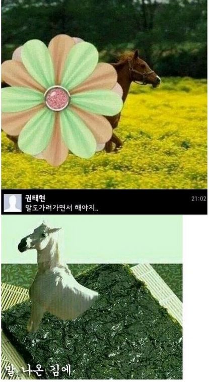 말띠해 기념 말개그.jpg