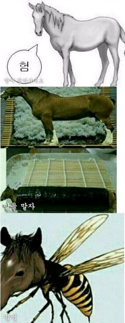 말띠해 기념 말개그.jpg