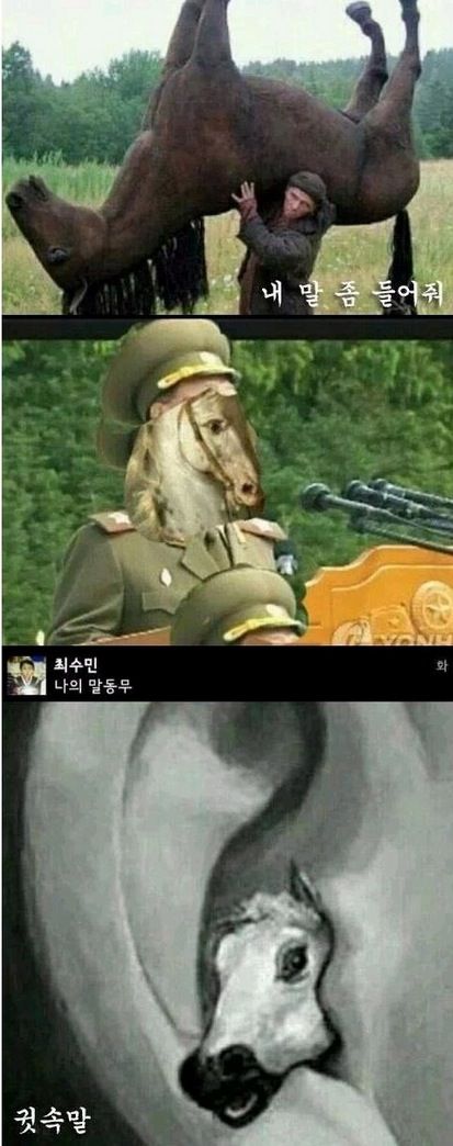 말띠해 기념 말개그.jpg