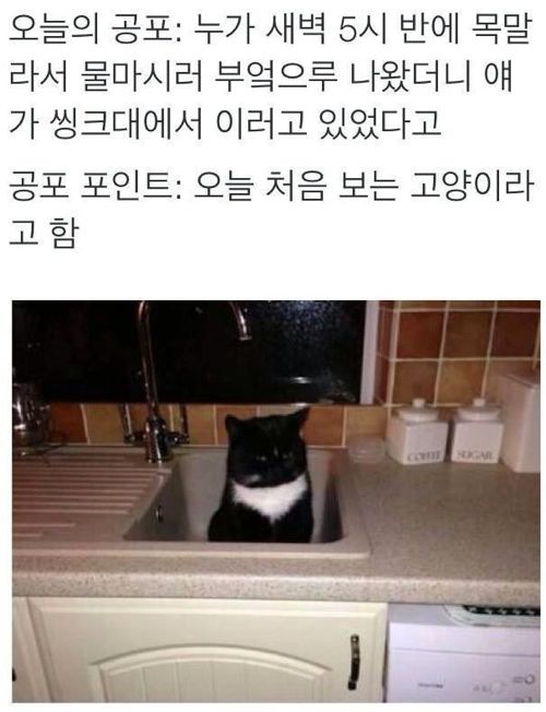 오늘의 공포.jpg