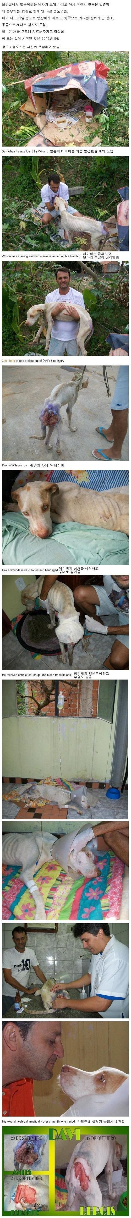 [혐주의]윌슨이 데이비를 만났을 때