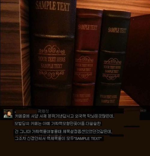 카페에 꽃혀있는 외국책의 정체.jpg