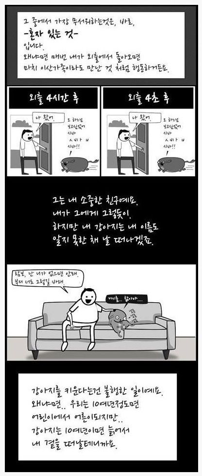 개 키우는 만화.jpg