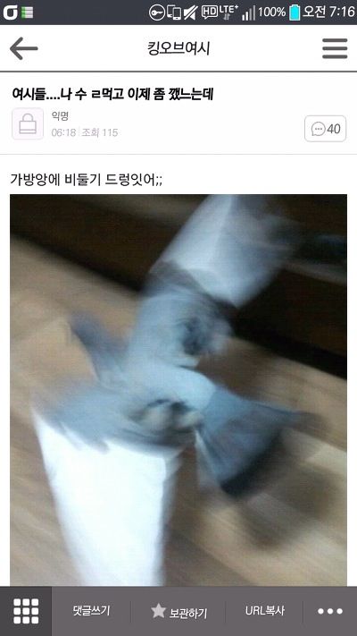 나 술먹고 이제 깼는데;.jpg