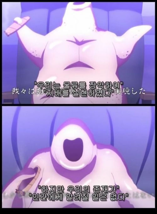 치킨 음모론.jpg