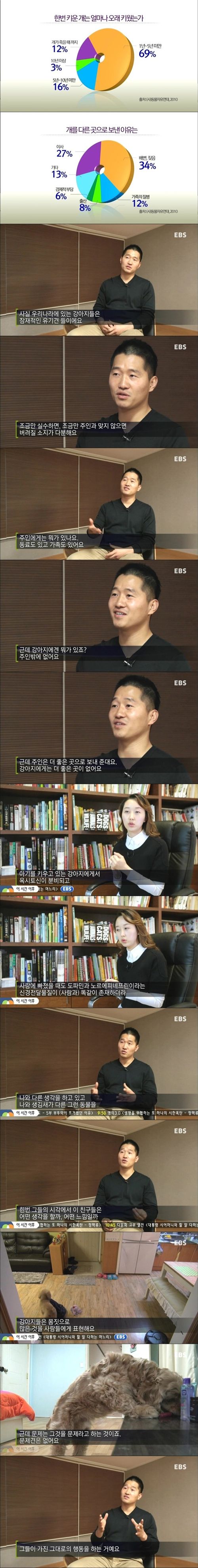 [스압]당신은 개를 키우면 안된다.jpg